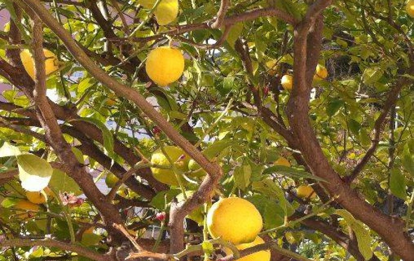 Location de vacances - Studio à Menton