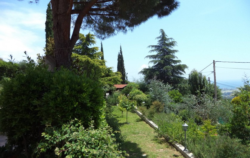 Location de vacances - Villa à Mandelieu-la-Napoule - vue du jardin