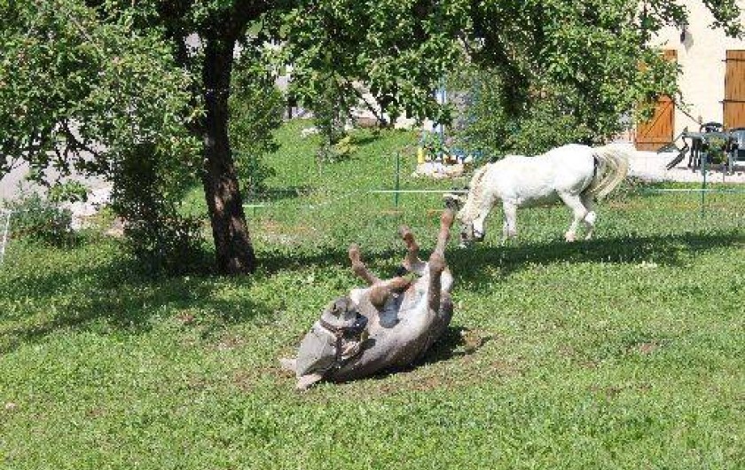 Location de vacances - Chalet à Le Latet
