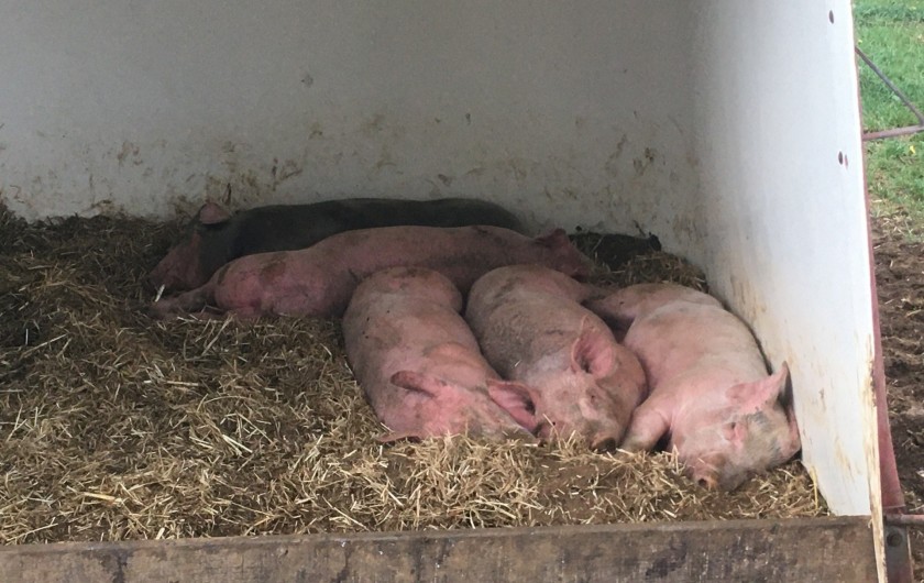 Location de vacances - Chalet à Le Latet