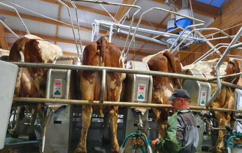 Location de vacances - Chalet à Le Latet