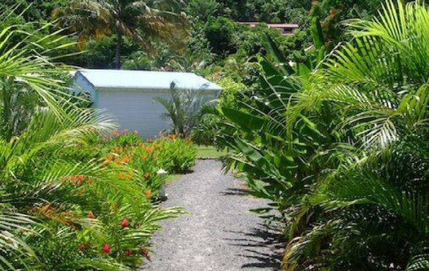 Location de vacances - Bungalow - Mobilhome à Deshaies - jardin