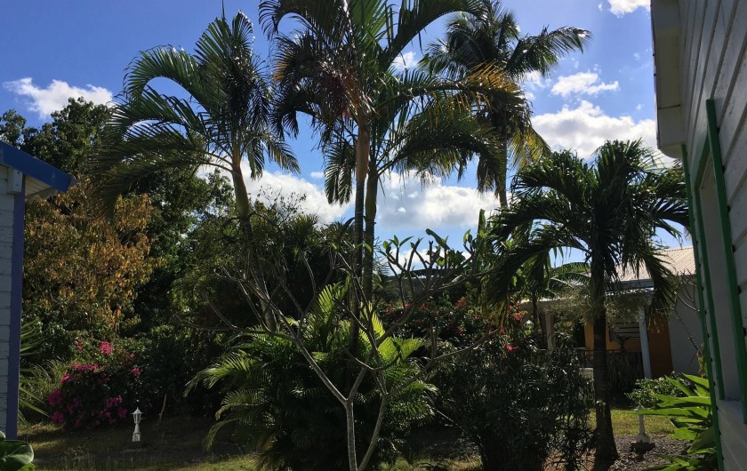 Location de vacances - Bungalow - Mobilhome à Deshaies