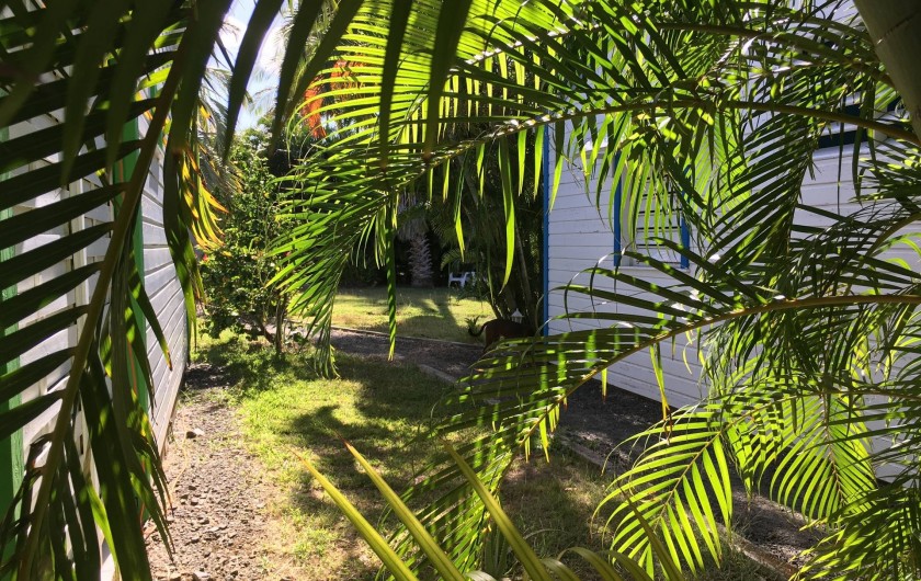 Location de vacances - Bungalow - Mobilhome à Deshaies