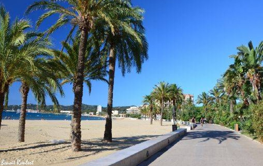 Location de vacances - Appartement à Bormes-les-Mimosas