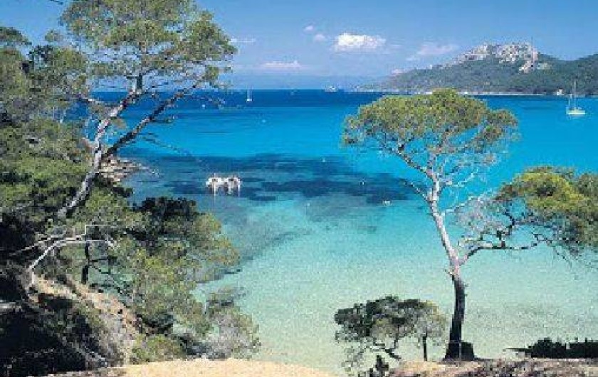 Location de vacances - Appartement à Bormes-les-Mimosas