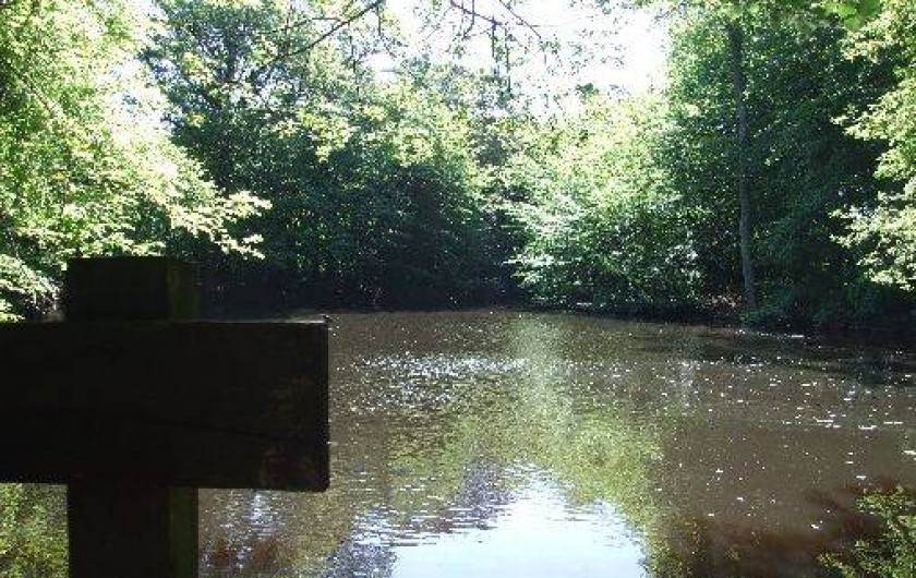 Location de vacances - Maison - Villa à Franchesse - L'étang