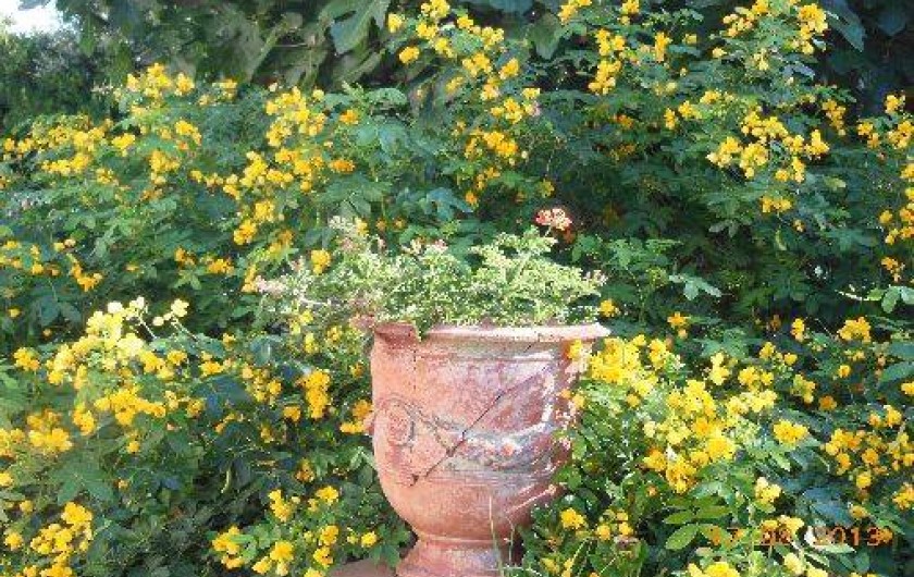 Location de vacances - Studio à Cavalaire-sur-Mer