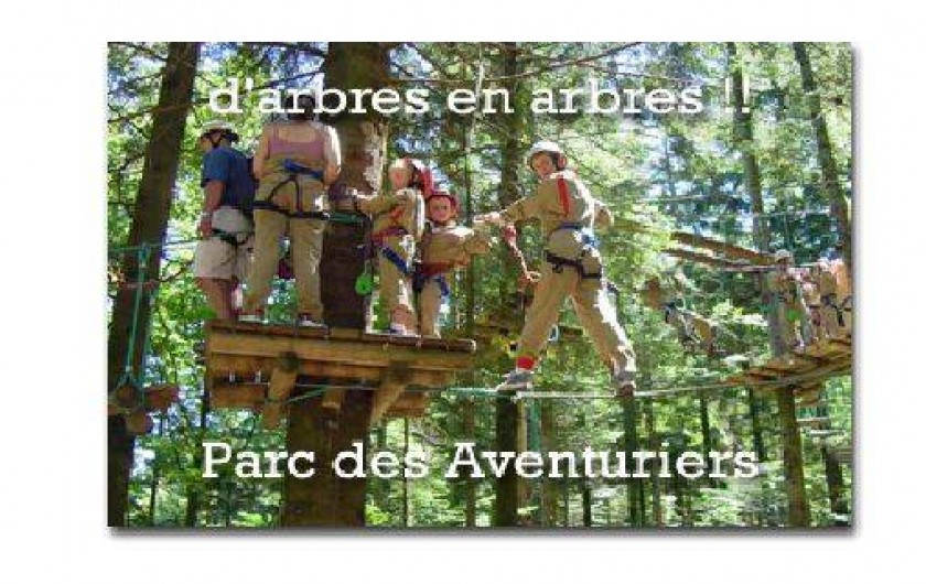 Location de vacances - Gîte à La Bresse - Activité à LA BRESSE parcours aventure