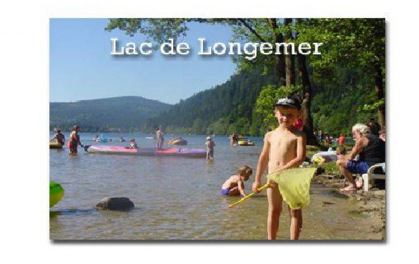 Location de vacances - Gîte à La Bresse - Baignade lac htes Vosges
