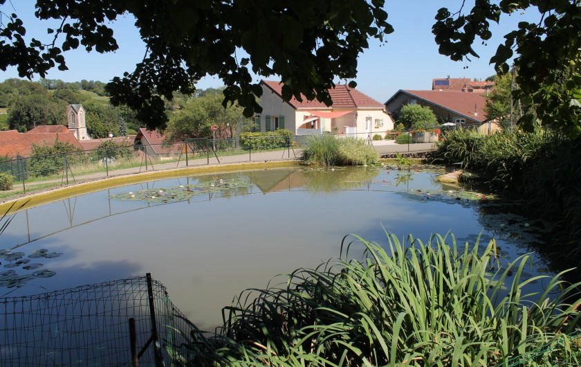 Location de vacances - Chambre d'hôtes à Pupillin - les alentours