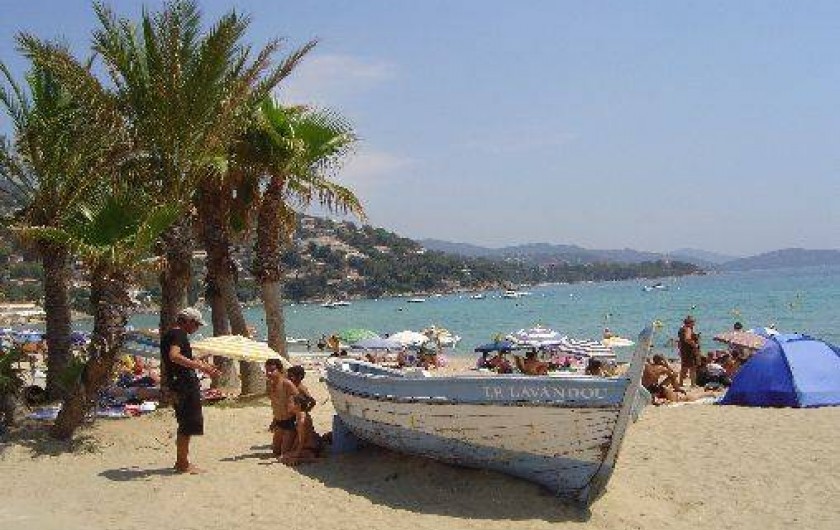 Location de vacances - Appartement à Le Lavandou - plage de sable fin mer turquoise
