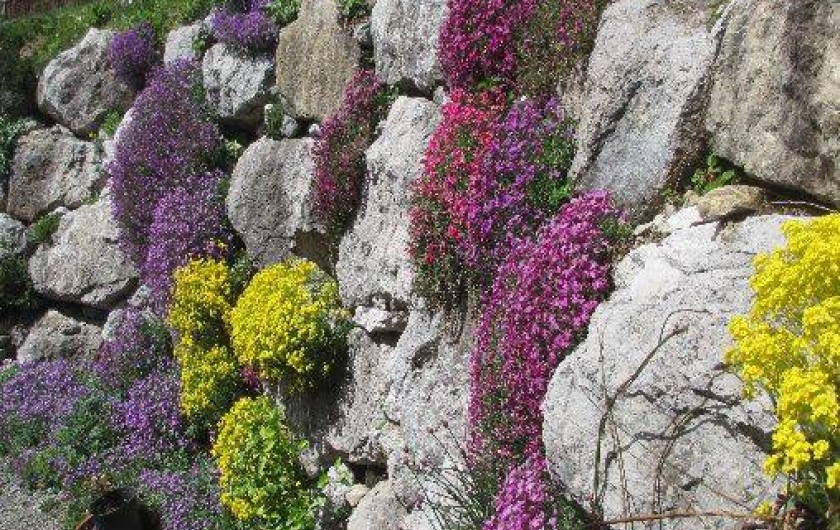 Location de vacances - Gîte à Habère-Poche