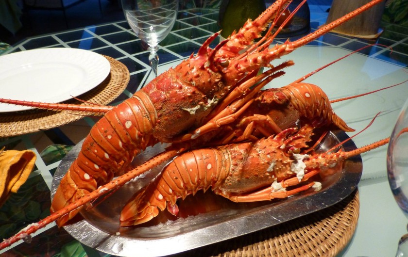 Location de vacances - Gîte à Le François - Spécialité martiniquaise Port de pêche à 5 minutes de la maison