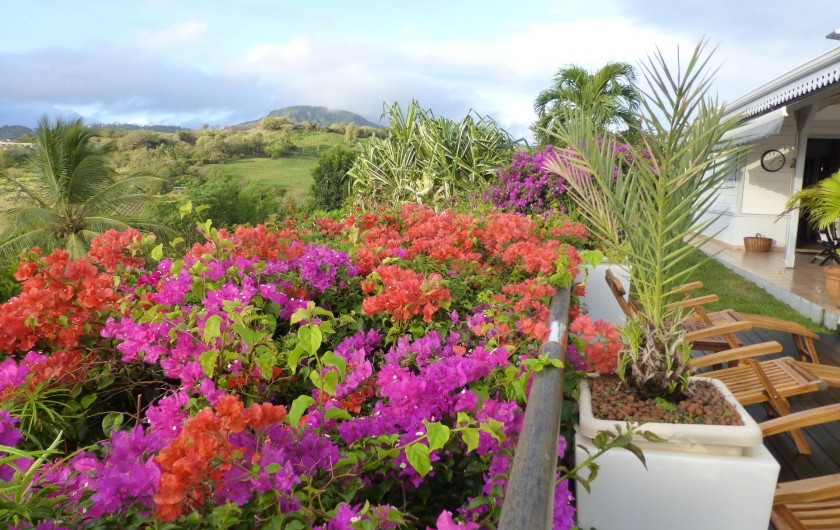 Location de vacances - Gîte à Le François - Bougainvilliers sur terrasse