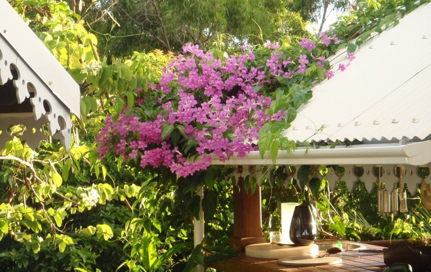 Location de vacances - Gîte à Le François - Carbet coin cuisine