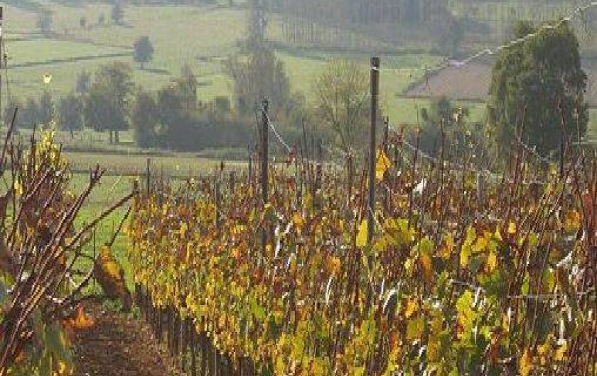 Location de vacances - Gîte à Torgny