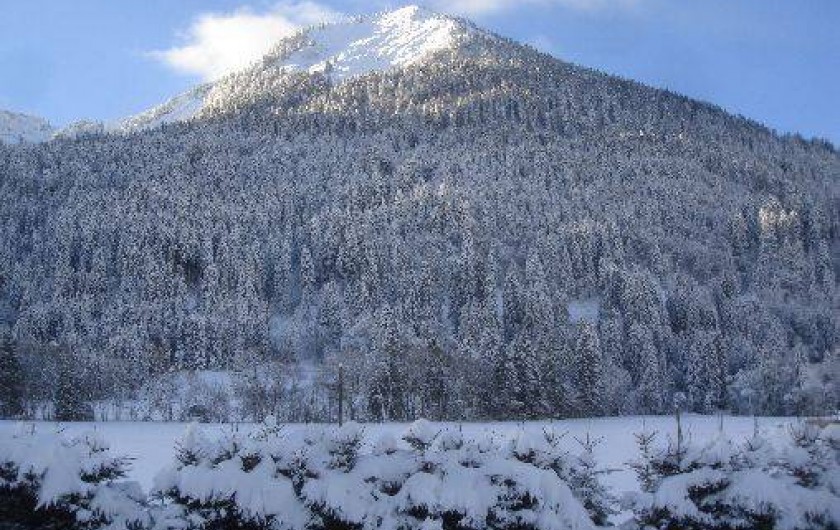 Location de vacances - Appartement à La Chapelle-d'Abondance