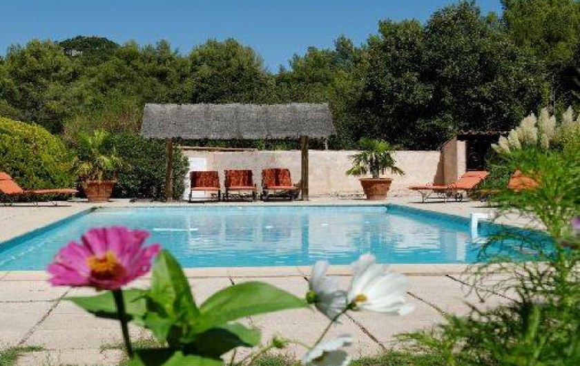 Location de vacances - Mas à Solliès-Toucas