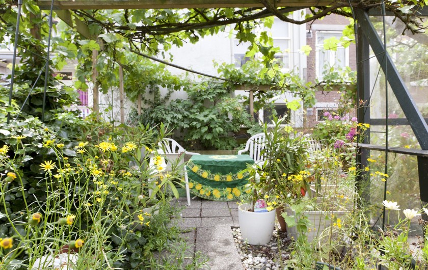 Location de vacances - Chambre d'hôtes à Amsterdam