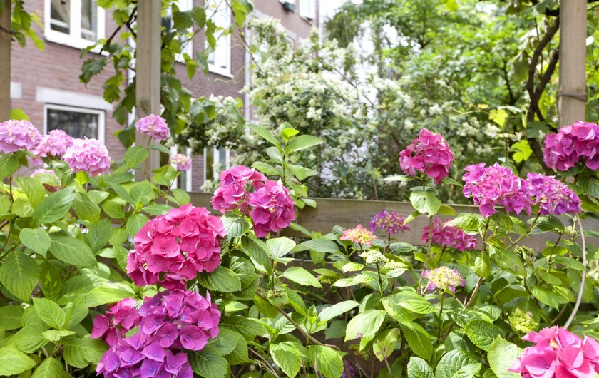 Location de vacances - Chambre d'hôtes à Amsterdam