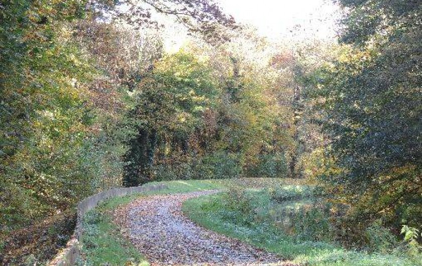 Location de vacances - Gîte à Ernolsheim-Bruche