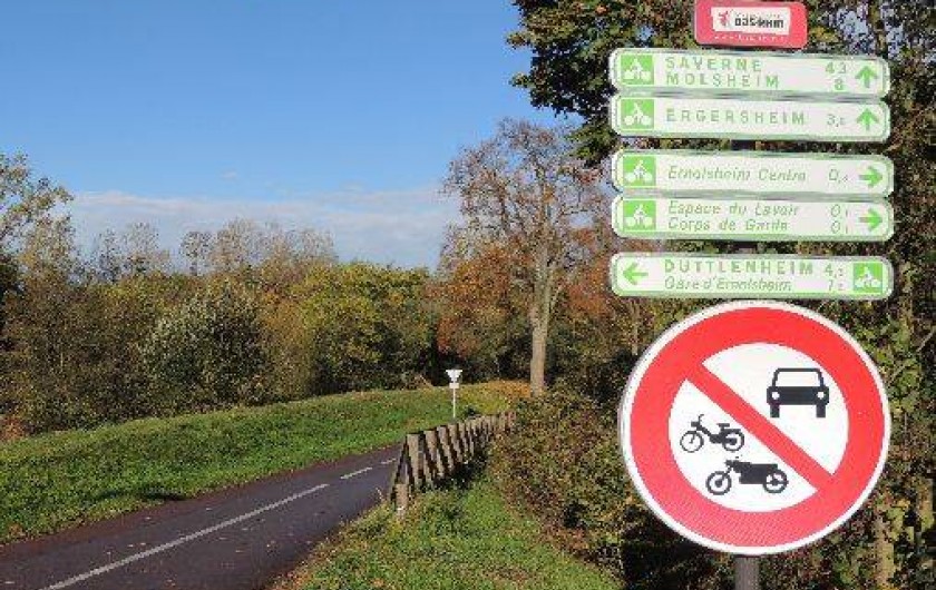 Location de vacances - Gîte à Ernolsheim-Bruche