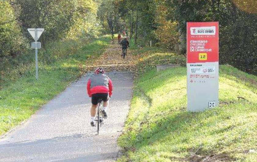 Location de vacances - Gîte à Ernolsheim-Bruche