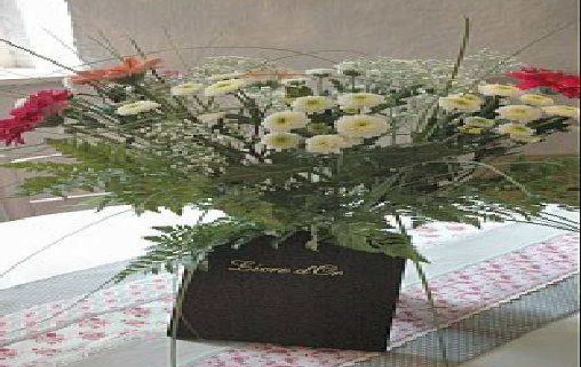 Location de vacances - Gîte à Amboise