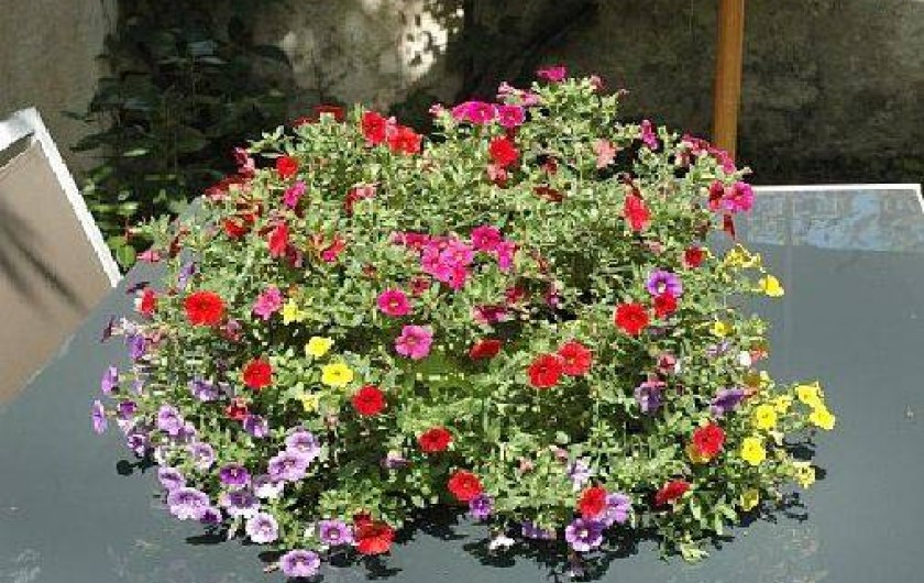 Location de vacances - Gîte à Amboise