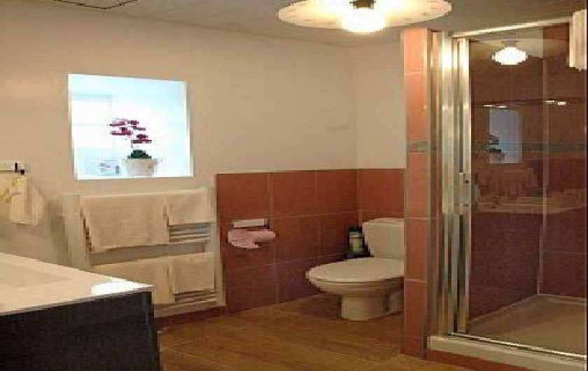 Location de vacances - Gîte à Amboise