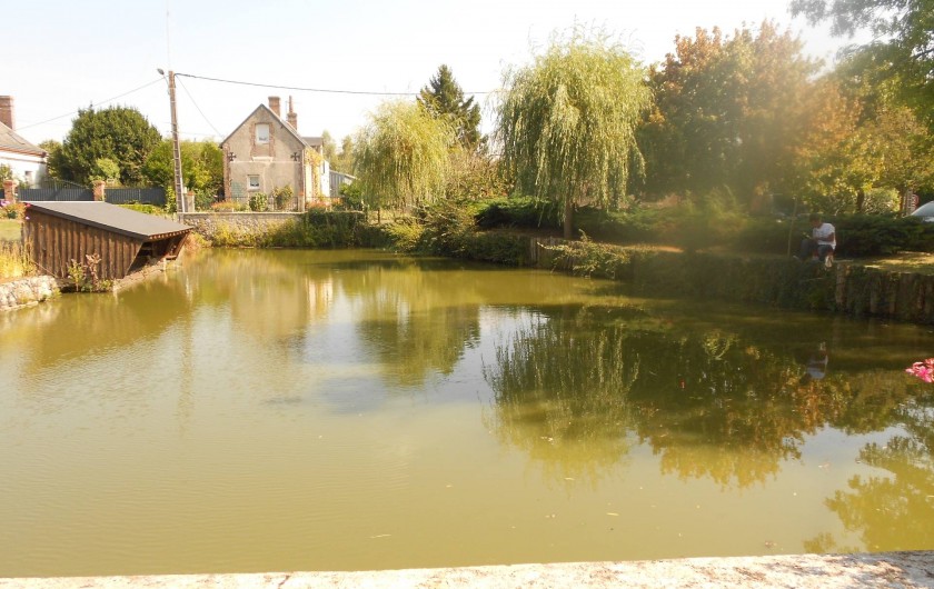Location de vacances - Villa à Saint-Nicolas-des-Motets - étang  et  péché
