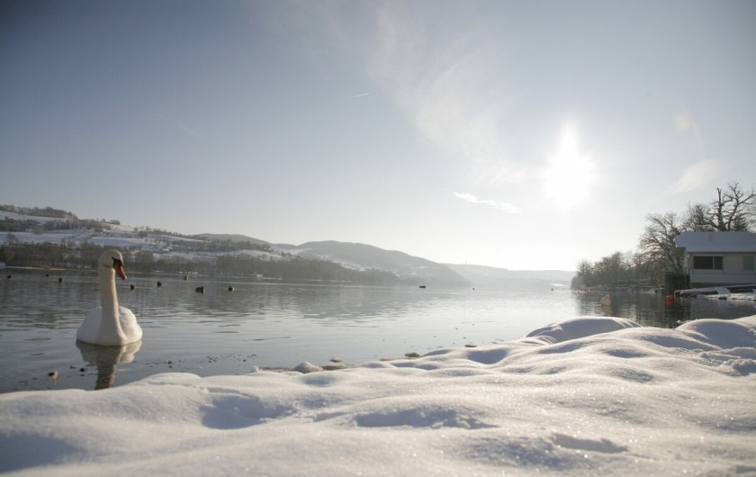 Location de vacances - Villa à Paladru - Le Lac est à 400m à pied de la maison (présence du cygne non garantie!)