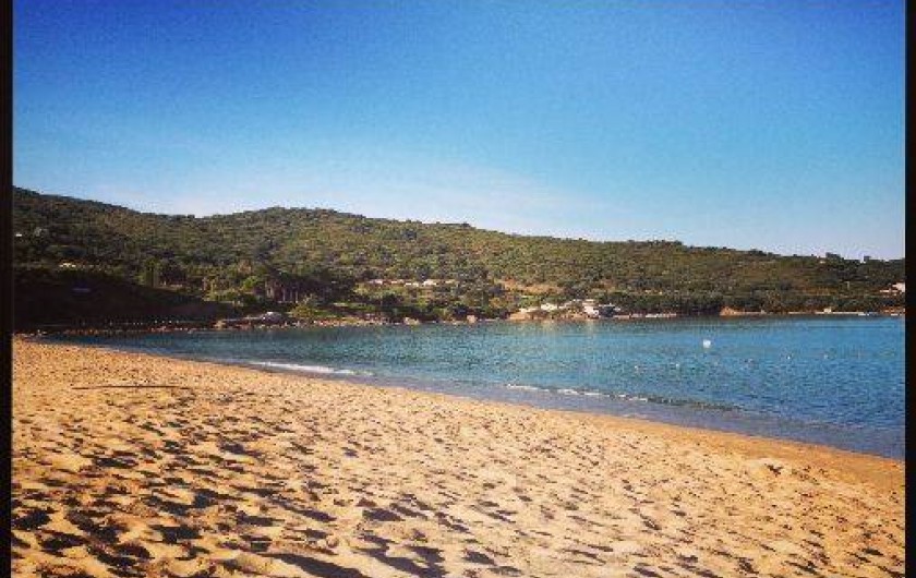 Location de vacances - Villa à Calcatoggio