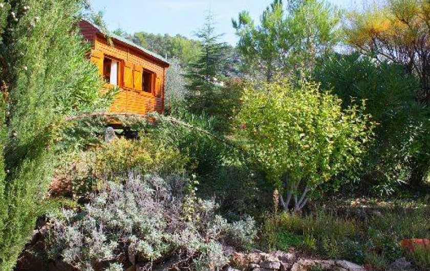 Location de vacances - Chambre d'hôtes à Carnoules