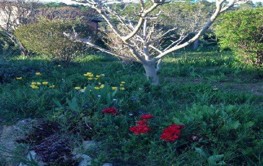 Location de vacances - Chambre d'hôtes à Carnoules