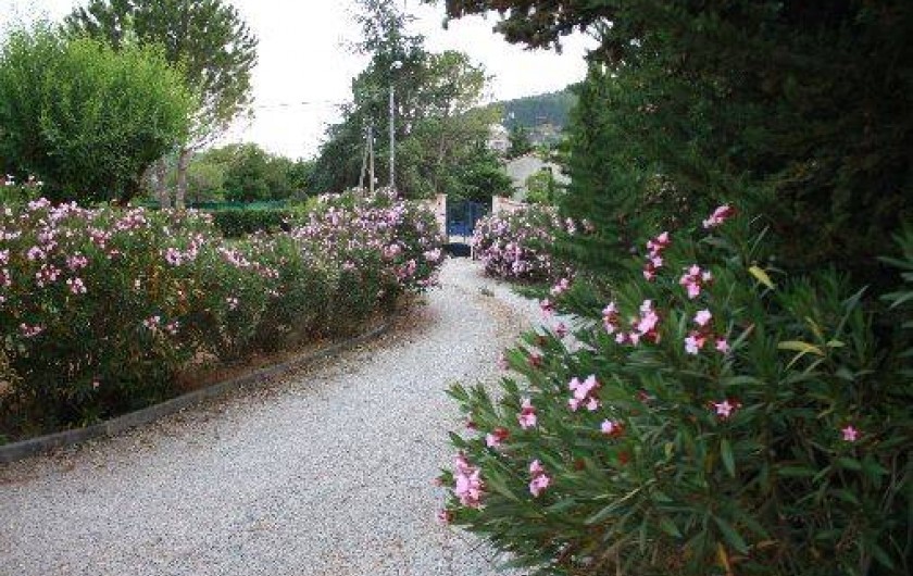 Location de vacances - Chambre d'hôtes à Carnoules