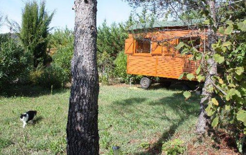Location de vacances - Chambre d'hôtes à Carnoules