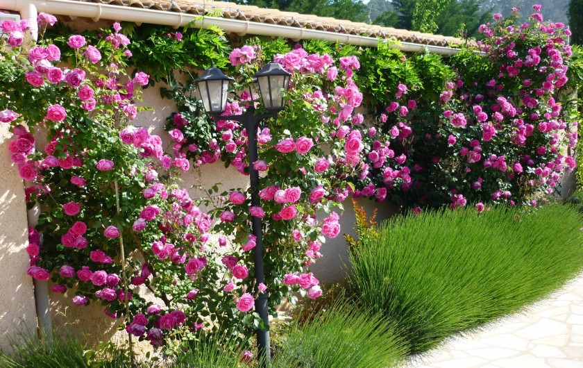 Location de vacances - Chambre d'hôtes à Carnoules