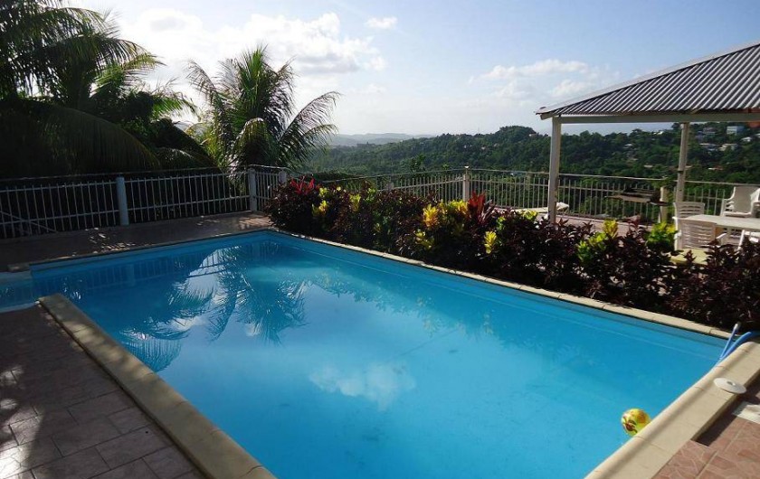 Location de vacances - Gîte à Sainte-Luce - La piscine: 8m sur 4m hydrolyse