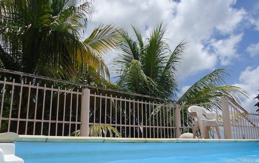 Location de vacances - Gîte à Sainte-Luce - Venez profitez du soleil des antilles, les pieds dans l'eau