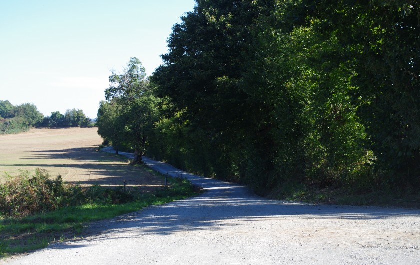 Location de vacances - Gîte à Pouzauges - Une petite ballade dans la campagne.