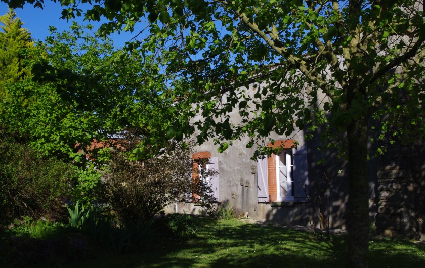 Location de vacances - Gîte à Pouzauges - A l'ombre du tilleul, protégé de la pluie, côté Ouest;