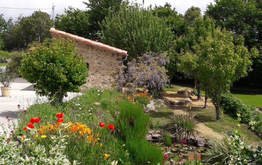 Location de vacances - Gîte à Pouzauges - En mai le jardin s'illumine de toutes les couleurs.