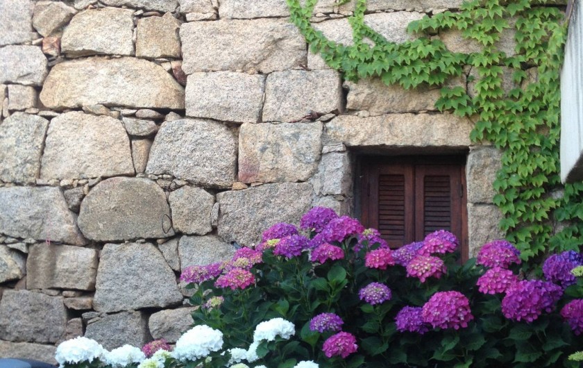 Location de vacances - Maison - Villa à Lecci