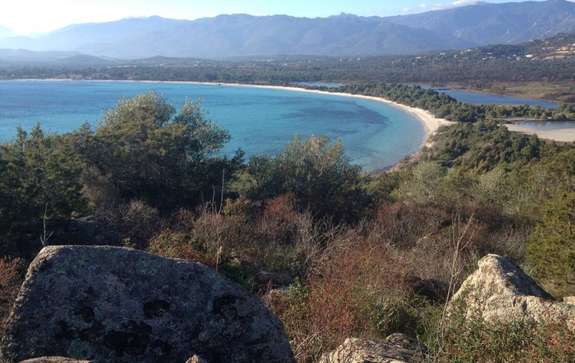 Location de vacances - Maison - Villa à Lecci