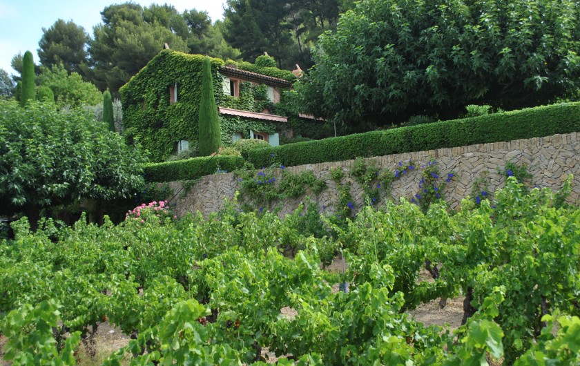 Location de vacances - Maison - Villa à La Cadière-d'Azur