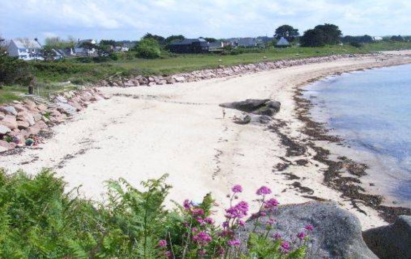 Location de vacances - Appartement à Trégastel