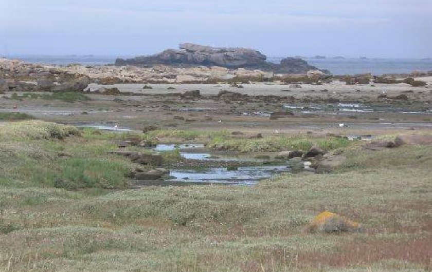 Location de vacances - Appartement à Trégastel