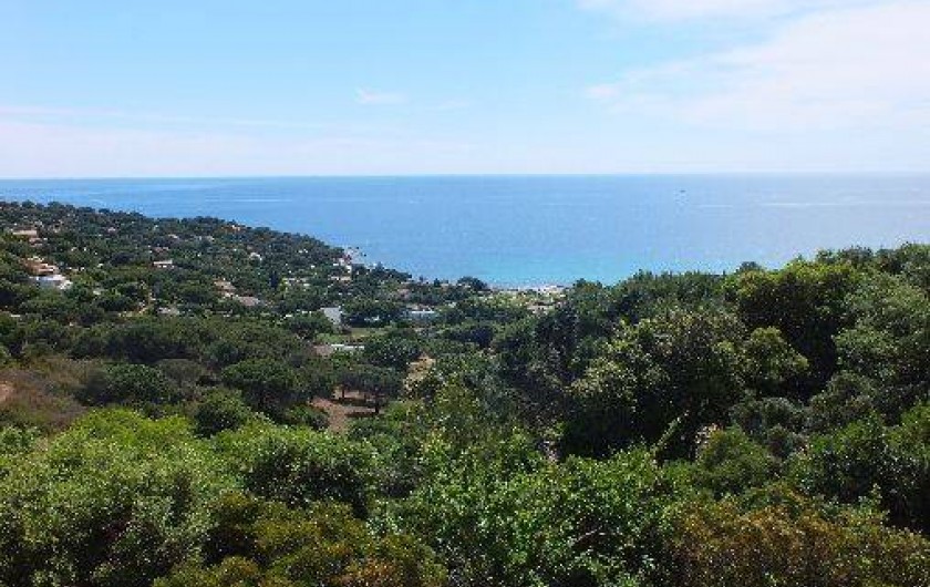 Location de vacances - Appartement à Ramatuelle